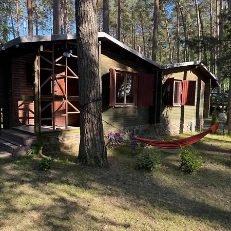 W Lesie Blisko Jeziora Holiday home *